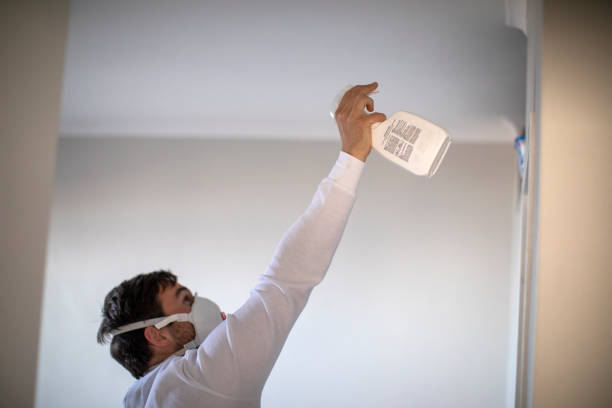 Best Toxic Mold Removal  in Walce Ridge, LA
