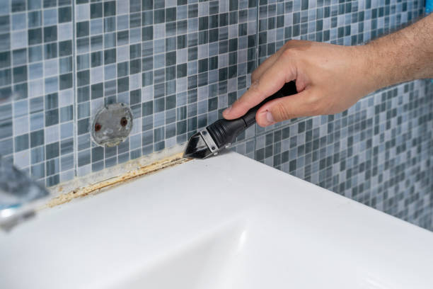  Walce Ridge, LA Mold Removal Pros