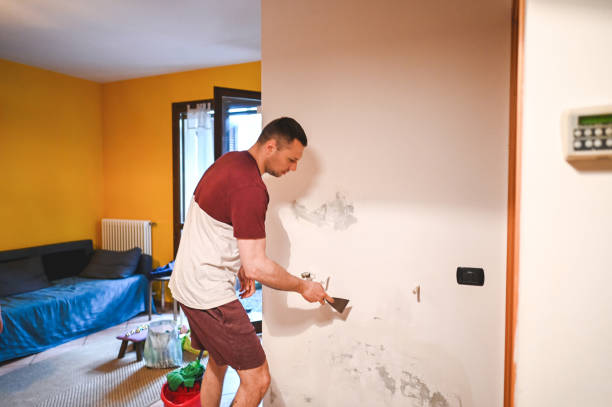 Professional Mold Removal in Wallace Ridge, LA